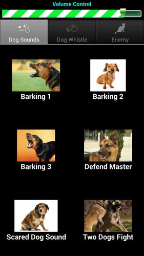 Dog Teaser