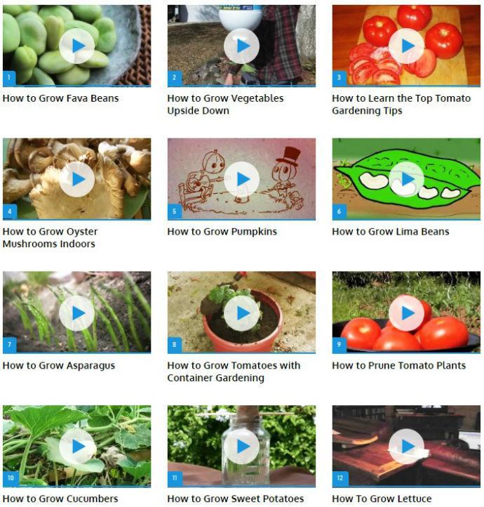 Vegetable Gardening (Guide)