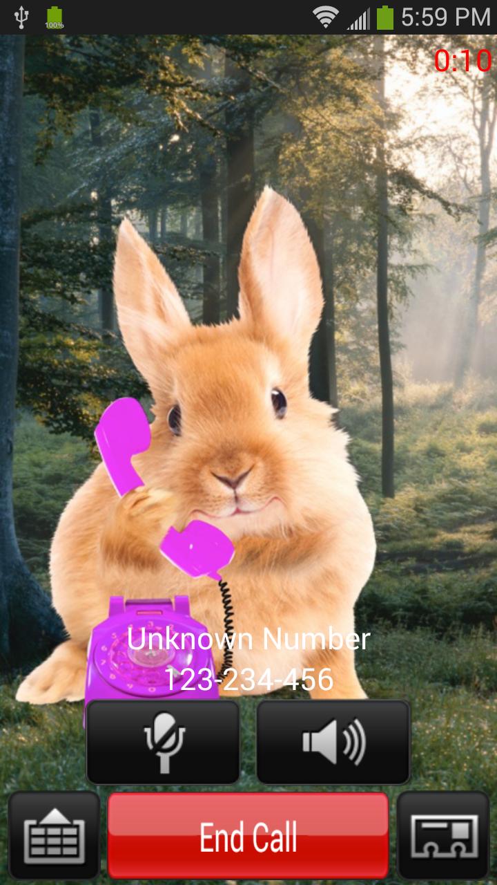 Bunny Call