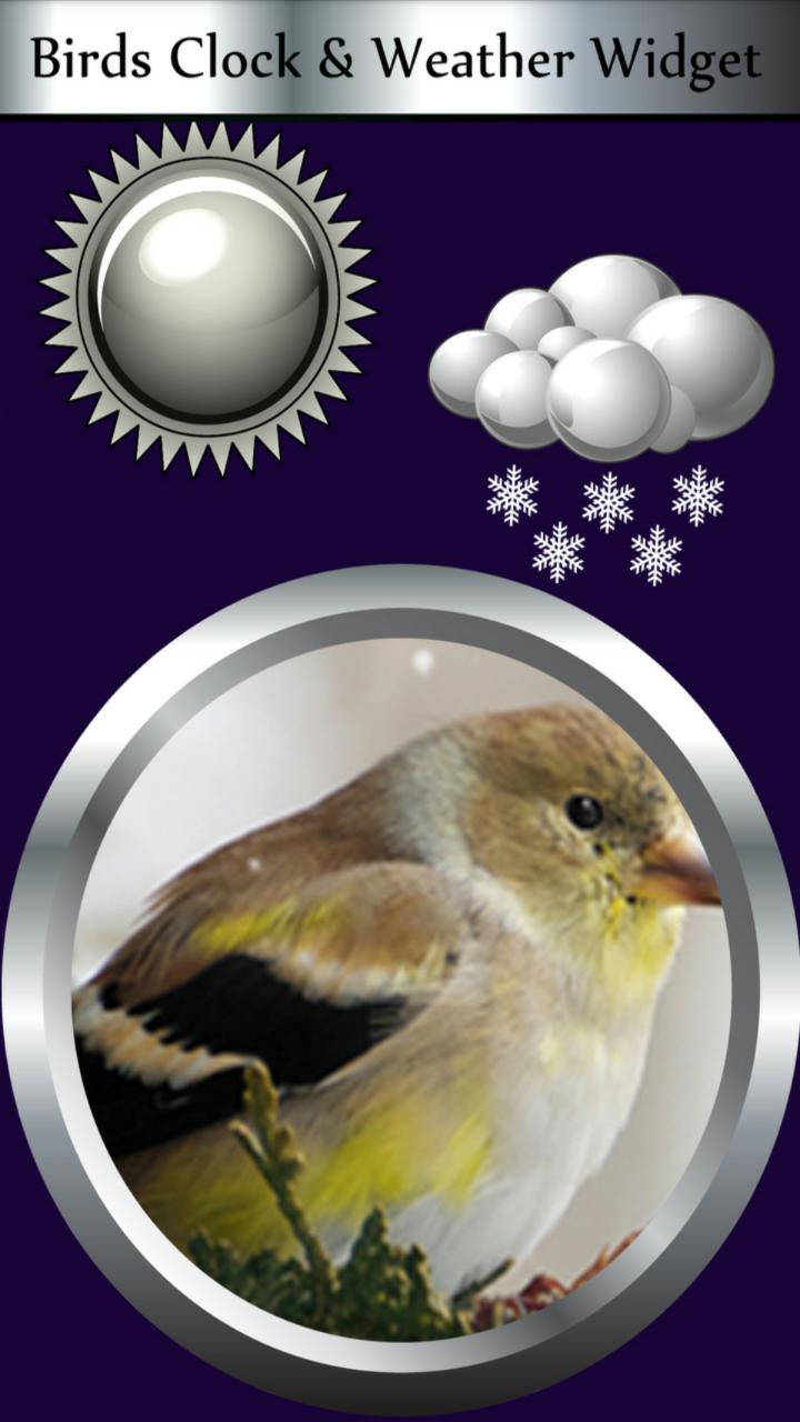 Birds Clock & Weather Widget