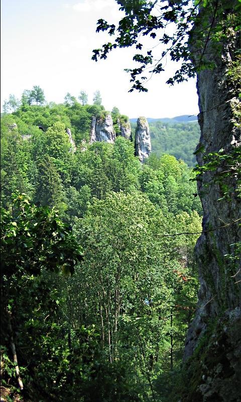 Franconian Switzerland Live