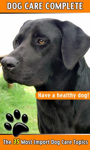 Dog Care Complete Guide