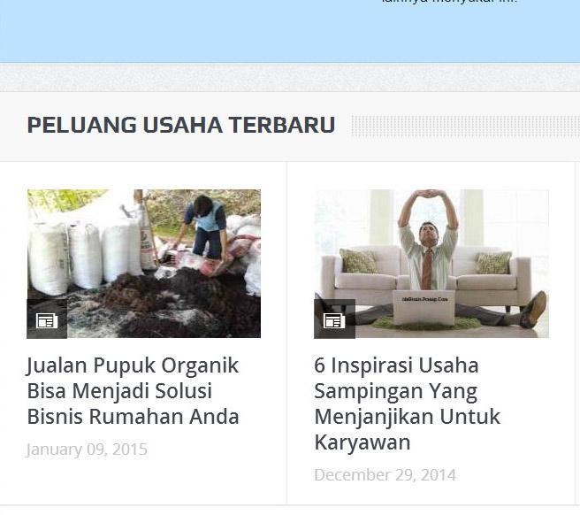 Peluang Bisnis Terbaru 2015