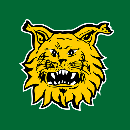 Tampereen Ilves