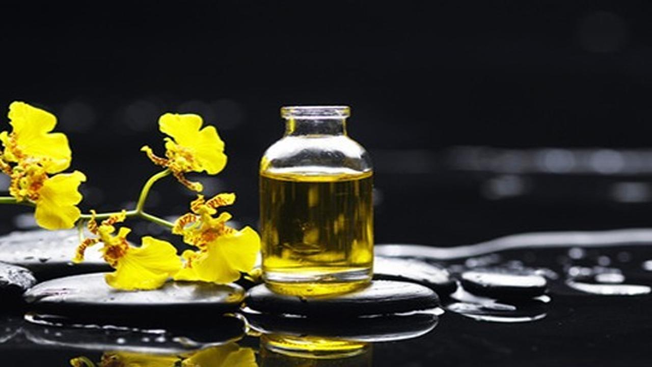 Caida del Cabello-Plantas