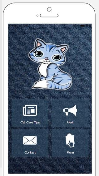 Cat Care Tips: How to take care of your cat