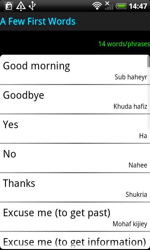 Surface Languages Urdu