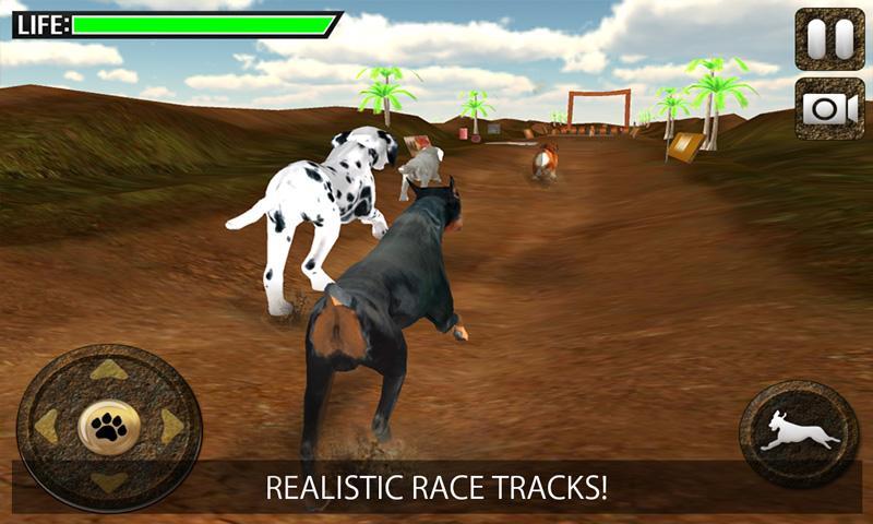 Greyhound Dog Racing 3D