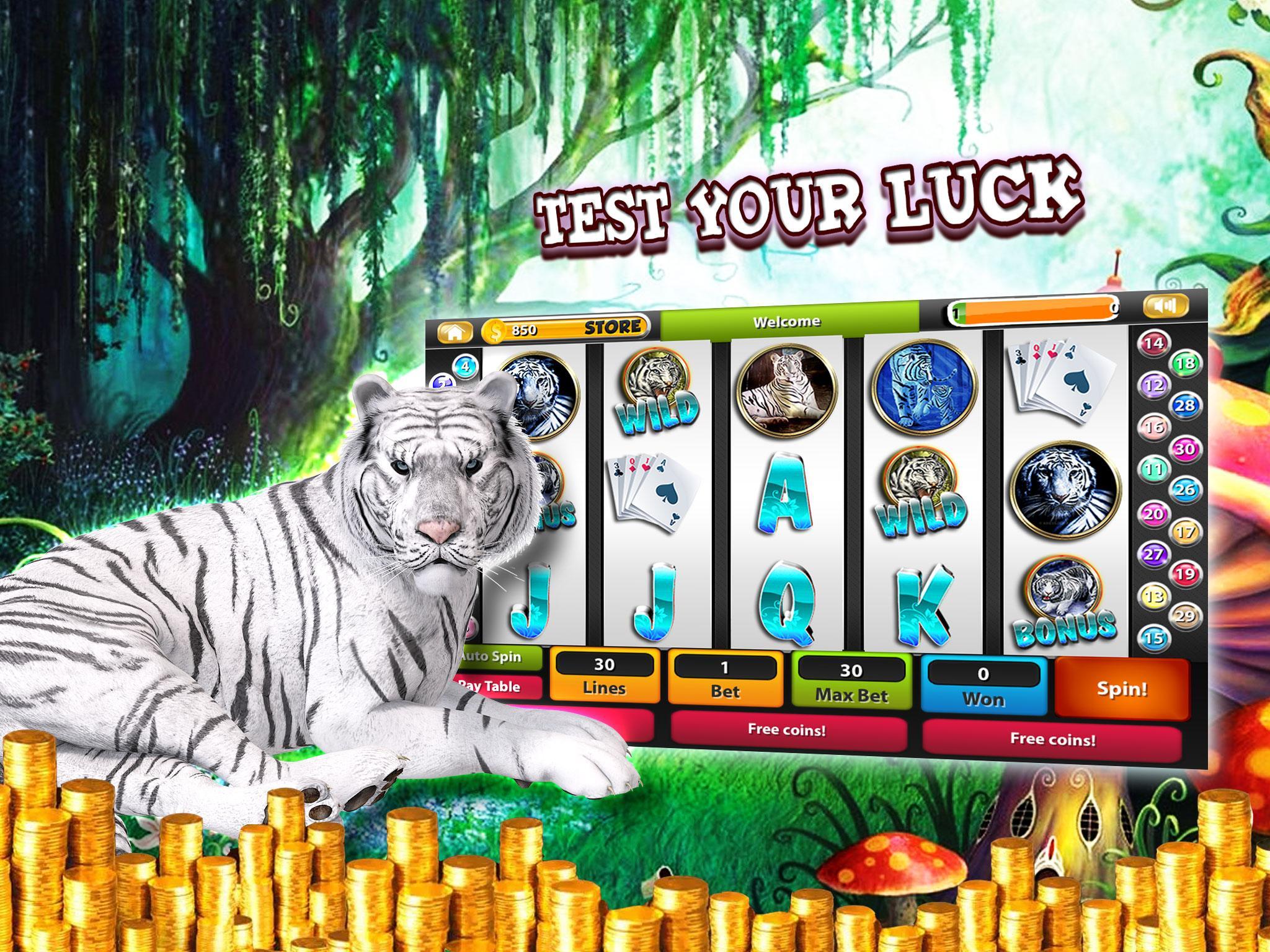 Tiger Casino Slot Machines