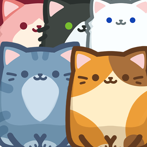 Box Cat Jam