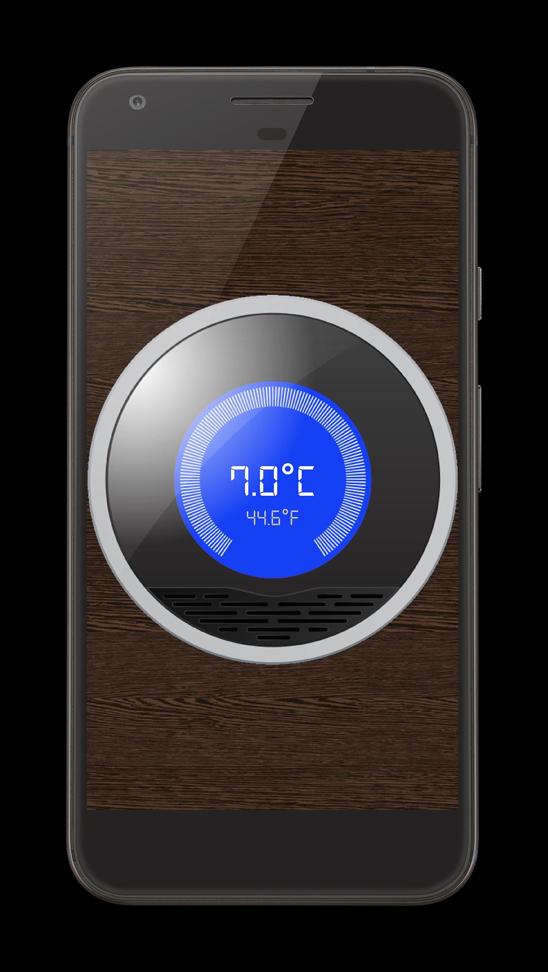 Ambient thermometer