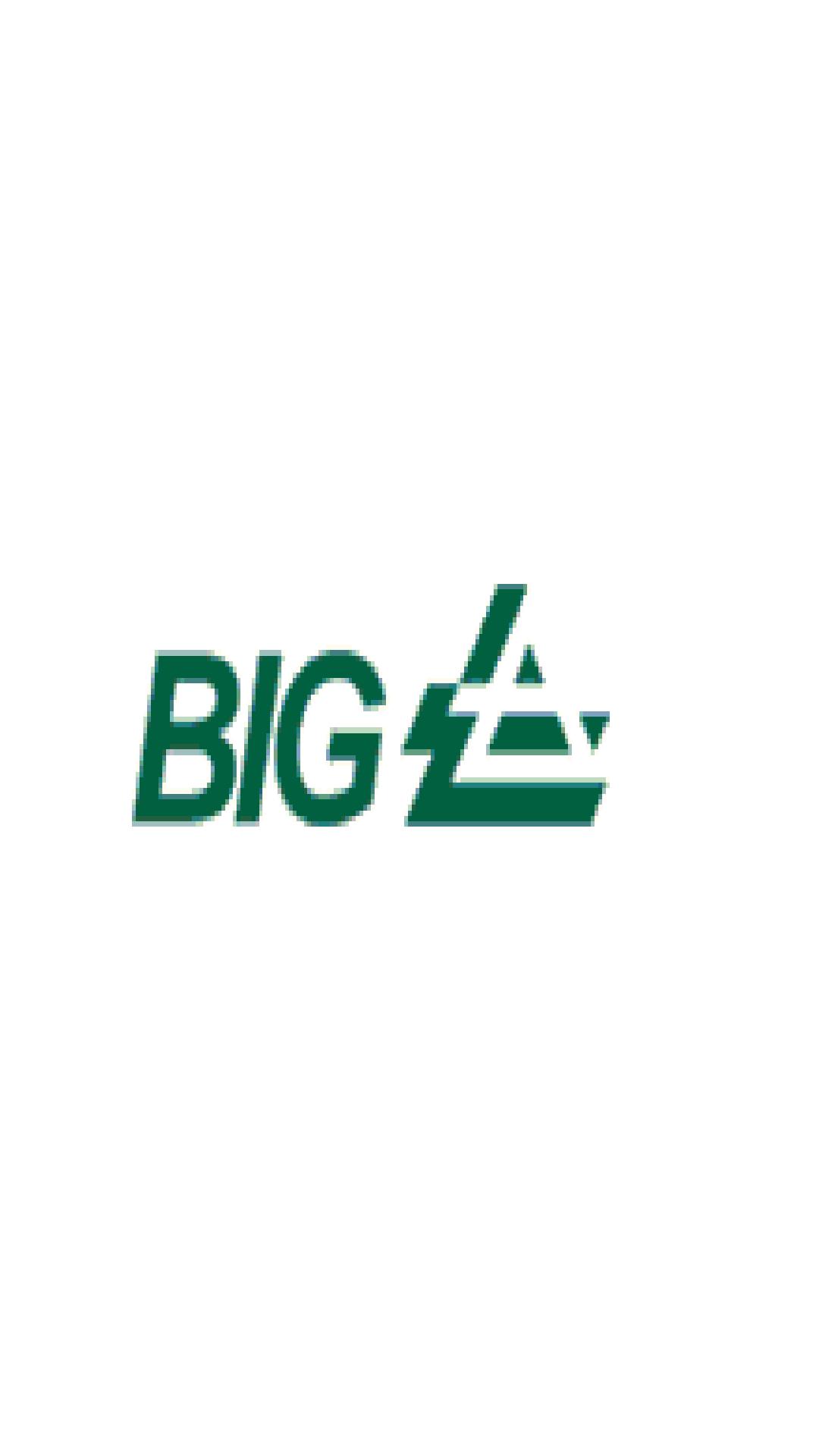 BIG Falcon