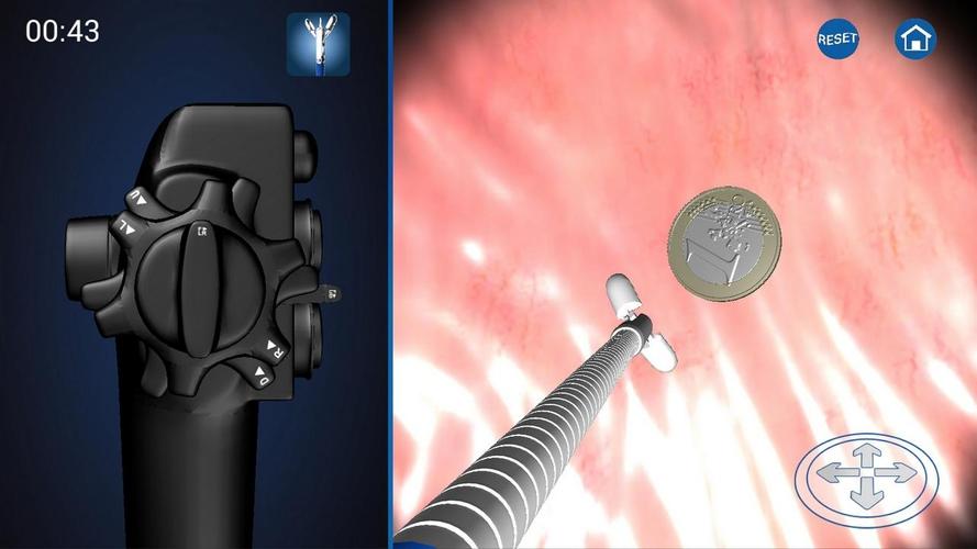 Endoscopy in Dogs (Free)