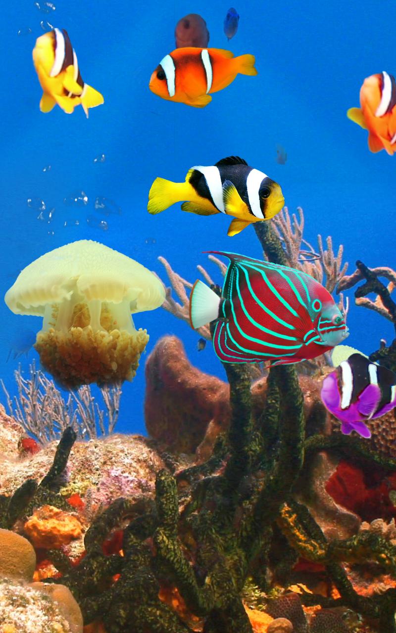 Aquarium