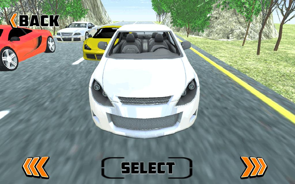 Dirt Race
