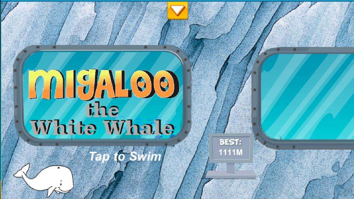 Migaloo the White Whale