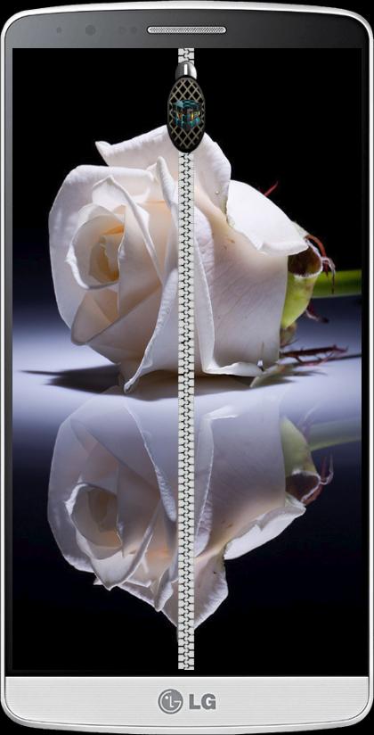 Rose  Roses zipper lock screen