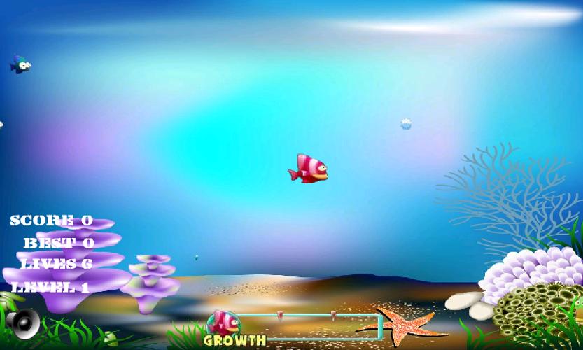Feeding frenzy - Fish